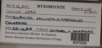 Image Associated With the Occurence